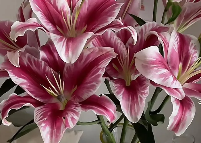 Habitación Mestre 1 Habitación en casa particular